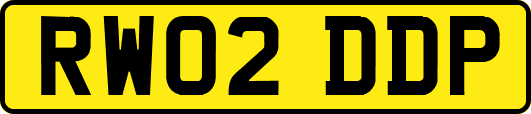 RW02DDP