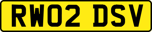 RW02DSV