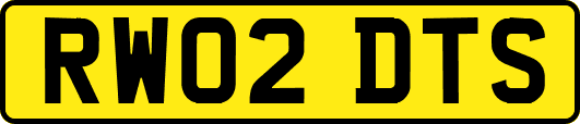 RW02DTS