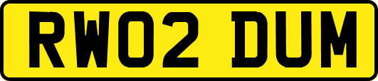 RW02DUM
