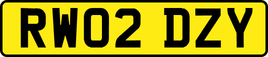 RW02DZY