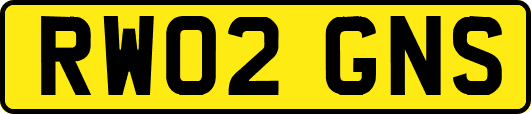 RW02GNS