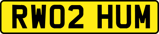 RW02HUM