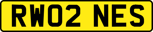 RW02NES