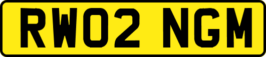 RW02NGM
