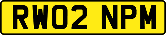 RW02NPM