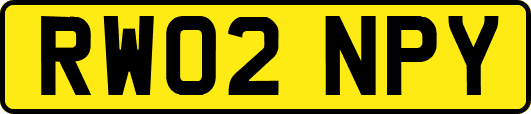 RW02NPY