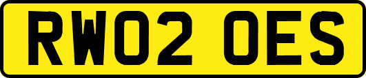 RW02OES