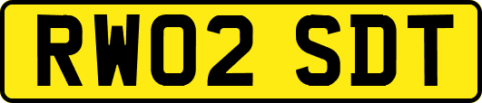 RW02SDT