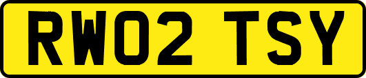 RW02TSY