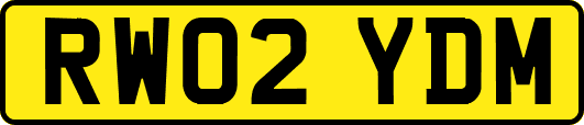 RW02YDM