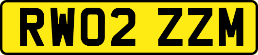 RW02ZZM