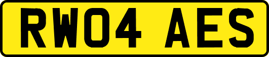 RW04AES