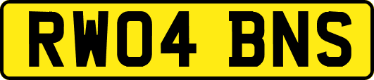 RW04BNS