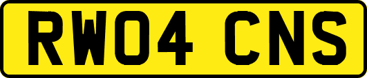 RW04CNS