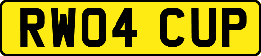 RW04CUP