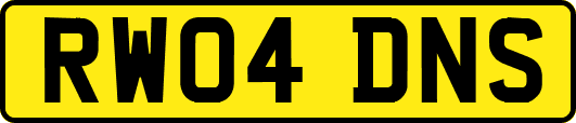 RW04DNS