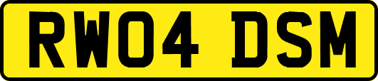 RW04DSM