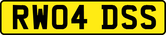 RW04DSS