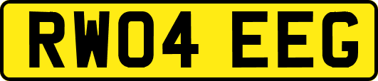 RW04EEG