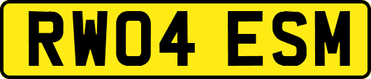 RW04ESM