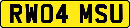 RW04MSU