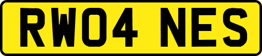 RW04NES