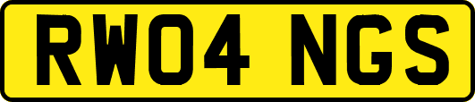 RW04NGS