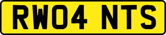 RW04NTS