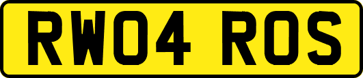 RW04ROS