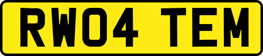RW04TEM