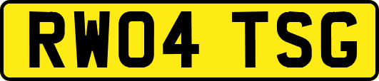 RW04TSG