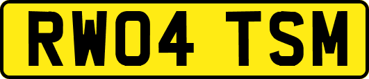 RW04TSM