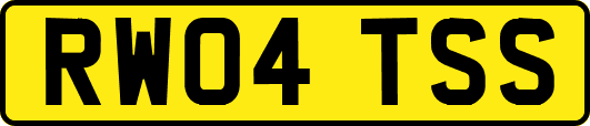 RW04TSS