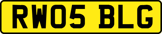 RW05BLG