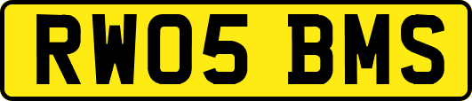 RW05BMS