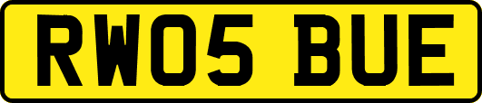 RW05BUE