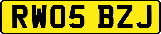 RW05BZJ