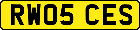 RW05CES