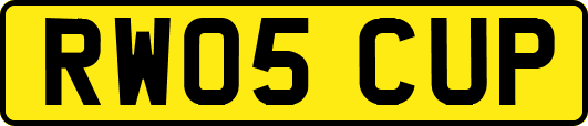 RW05CUP
