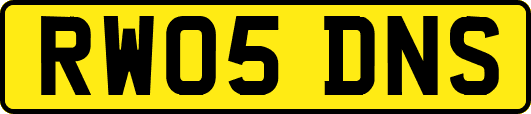 RW05DNS