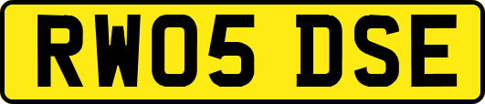 RW05DSE