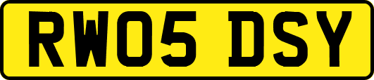 RW05DSY