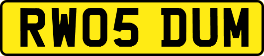 RW05DUM