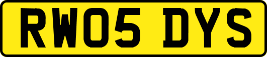 RW05DYS