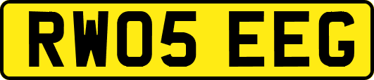 RW05EEG