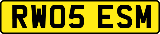 RW05ESM
