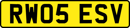 RW05ESV