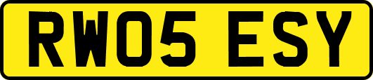 RW05ESY