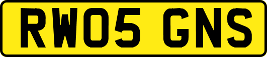 RW05GNS